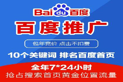 SEM推广技巧：成功案例深度剖析